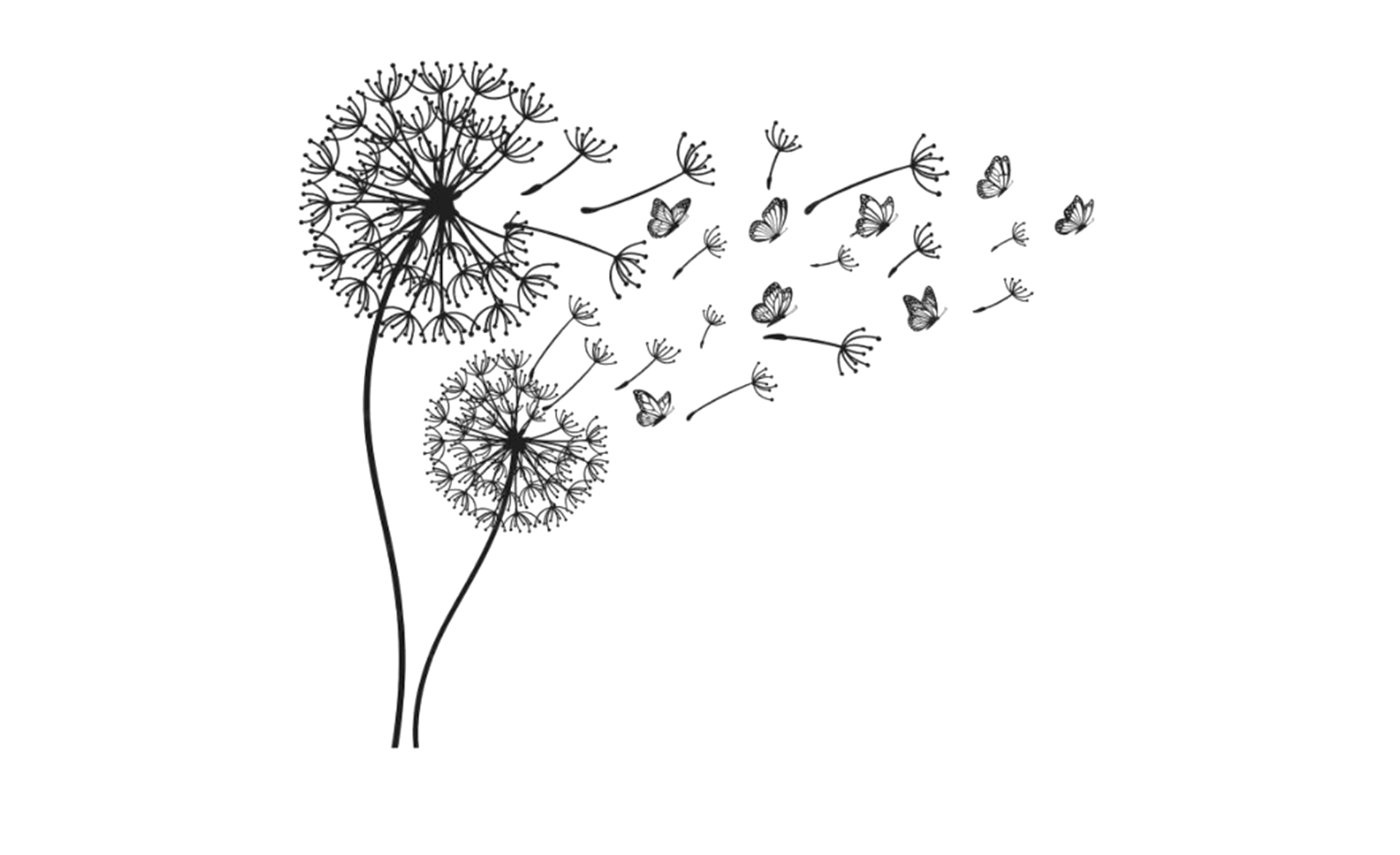 DANDELION_DOWN